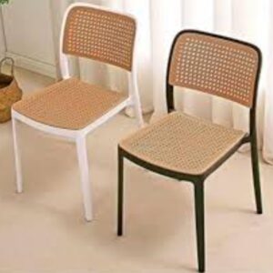 Modern Faux Rattan Mesh Molded Dining Chair